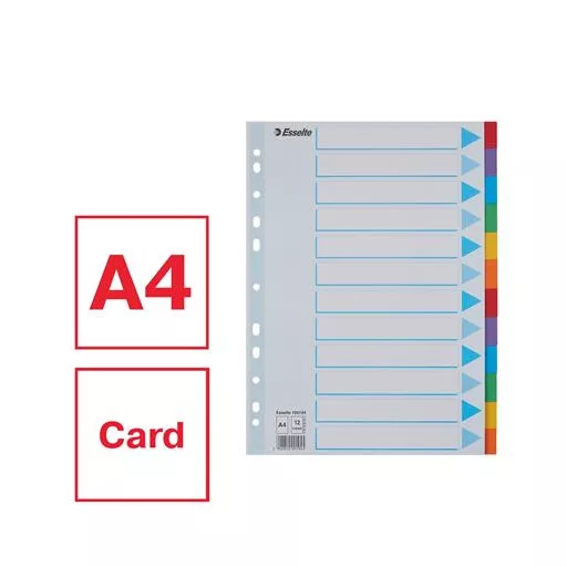 Regiszter, karton, A4, 12 részes, írható előlappal, ESSELTE "Standard", színes
