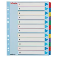   Regiszter, laminált karton, A4 Maxi, 1-12, újraírható, ESSELTE