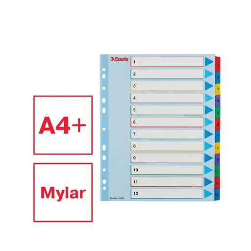 Regiszter, laminált karton, A4 Maxi, 1-12, újraírható, ESSELTE