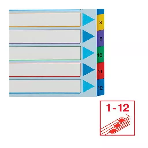 Regiszter, laminált karton, A4 Maxi, 1-12, újraírható, ESSELTE