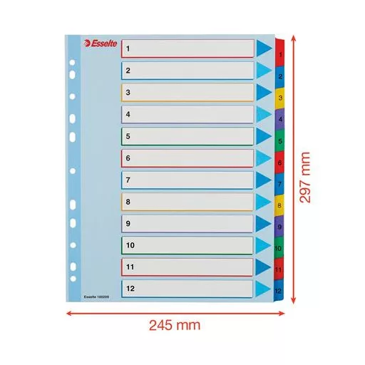 Regiszter, laminált karton, A4 Maxi, 1-12, újraírható, ESSELTE