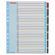   Regiszter, laminált karton, A4 Maxi, 1-31, újraírható, ESSELTE