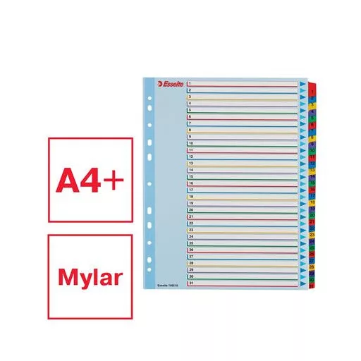 Regiszter, laminált karton, A4 Maxi, 1-31, újraírható, ESSELTE