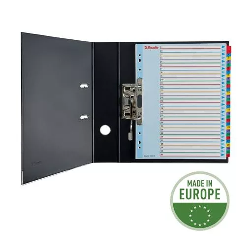 Regiszter, laminált karton, A4 Maxi, 1-31, újraírható, ESSELTE