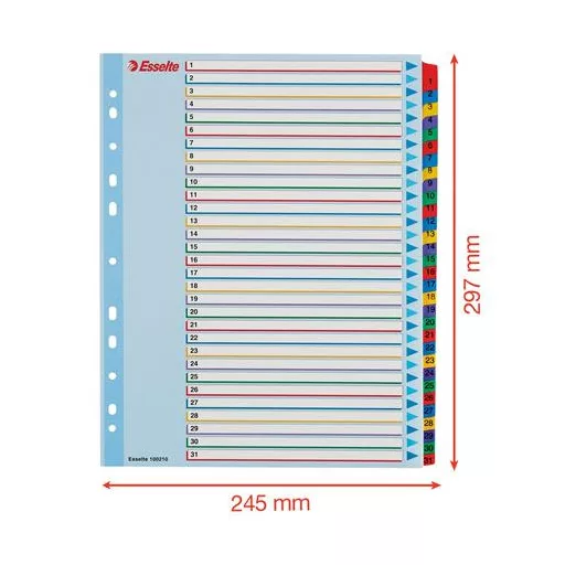 Regiszter, laminált karton, A4 Maxi, 1-31, újraírható, ESSELTE