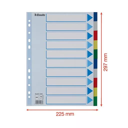 Regiszter, műanyag, A4, 10 részes, ESSELTE