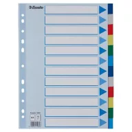 Regiszter, műanyag, A4, 12 részes, ESSELTE