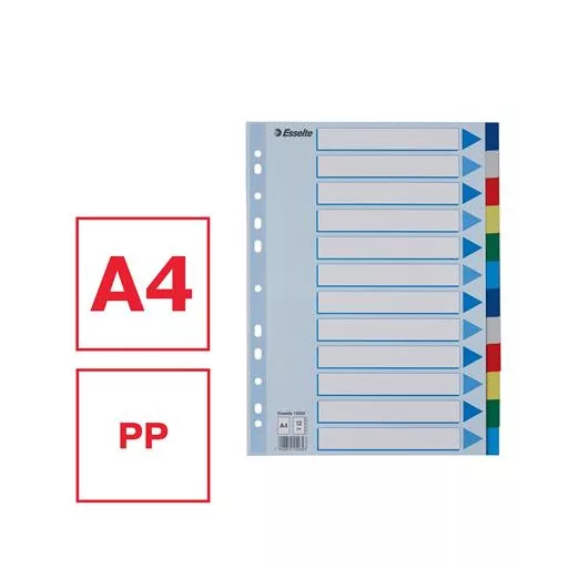 Regiszter, műanyag, A4, 12 részes, ESSELTE