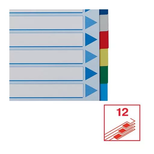 Regiszter, műanyag, A4, 12 részes, ESSELTE