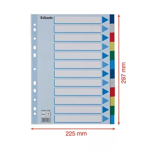 Regiszter, műanyag, A4, 12 részes, ESSELTE