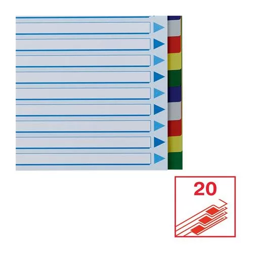 Regiszter, műanyag, A4, 20 részes, ESSELTE