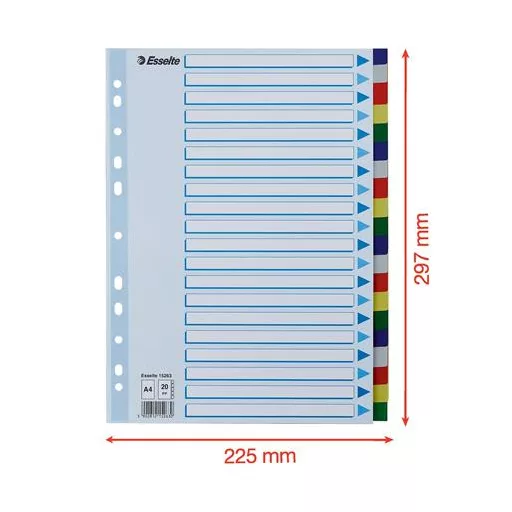 Regiszter, műanyag, A4, 20 részes, ESSELTE