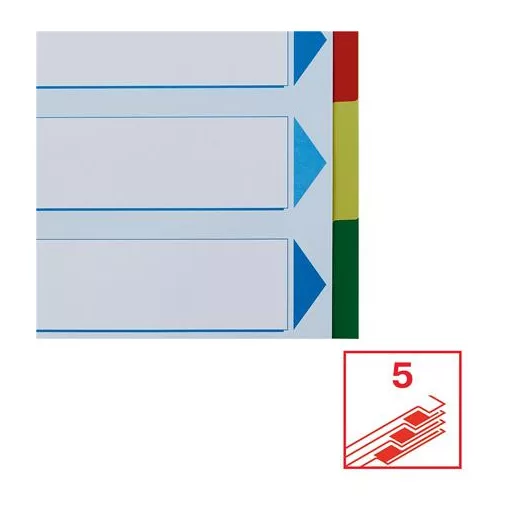 Regiszter, műanyag, A4 Maxi, 5 részes, ESSELTE