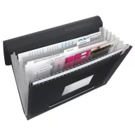   Harmonikamappa, A4, PP, 6 rekeszes, ESSELTE "Vivida", fekete