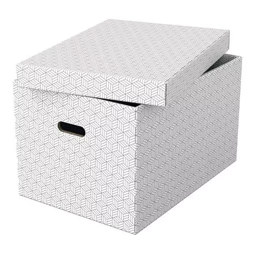 Tárolódoboz, L méret, ESSELTE "Home", fehér