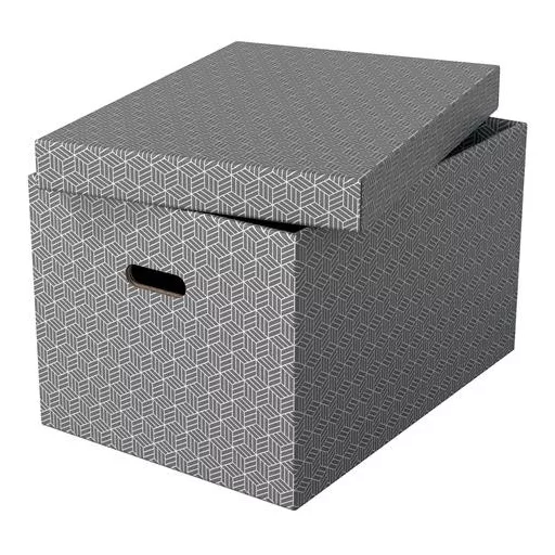 Tárolódoboz, L méret, ESSELTE "Home", szürke