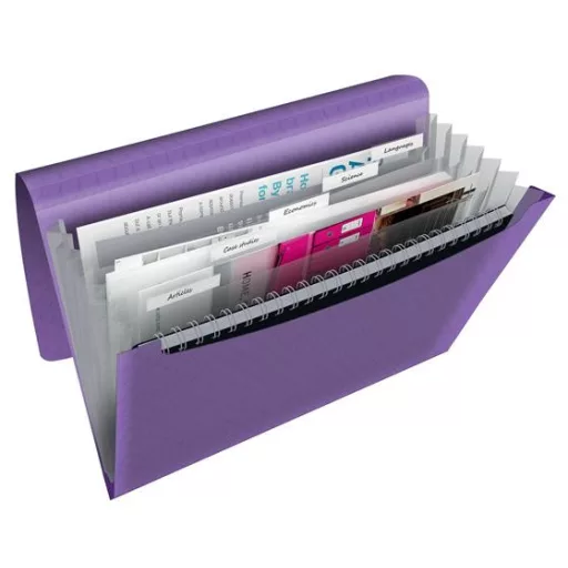 Harmonikamappa, A4, PP, 6 rekeszes, ESSELTE "Colour'Breeze", levendula