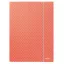 Gumis mappa, karton, A4, ESSELTE "Colour'Breeze", korall