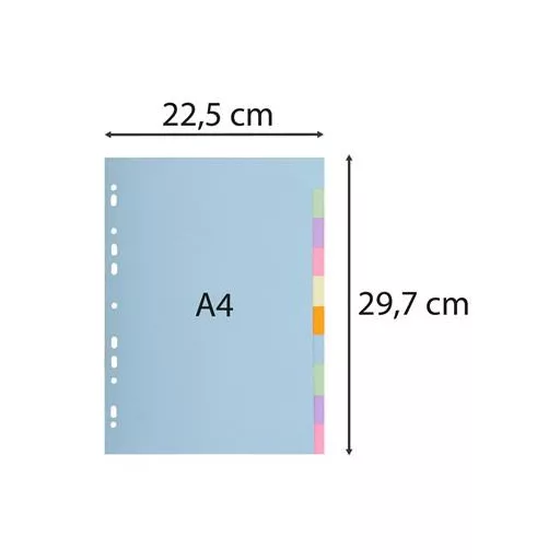 Regiszter, karton, A4, 10 részes, EXACOMPTA, pasztell színek
