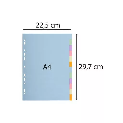 Regiszter, karton, A4, 12 részes, EXACOMPTA, pasztell színek