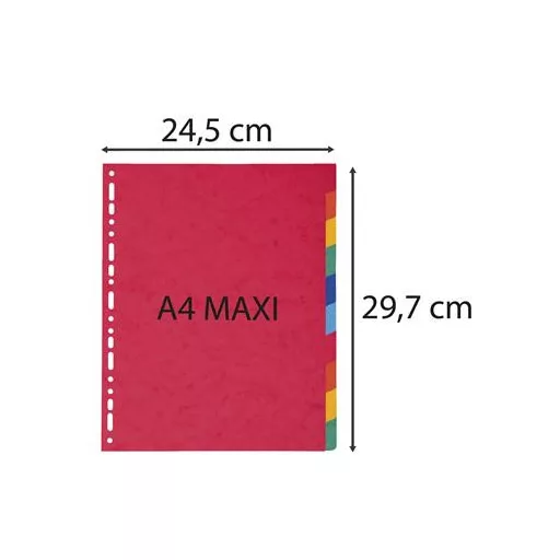 Regiszter, karton, A4+, 10 részes, EXACOMPTA, színes