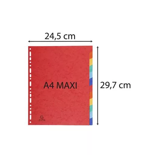 Regiszter, karton, A4+, 12 részes, EXACOMPTA, színes