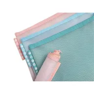  Rendszerező tasak, cipzáras, hálós, A5, EXACOMPTA "Chromaline Pastel", vegyes színek