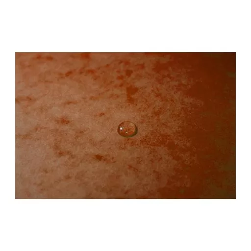 Gumis mappa, prespán, A4, EXACOMPTA, narancs