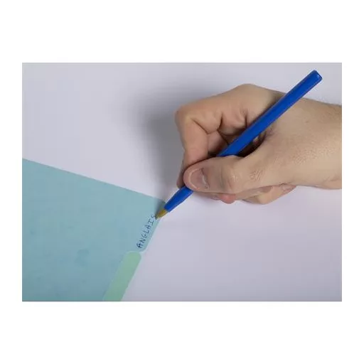 Regiszter, karton, A4, 12 részes, EXACOMPTA "Aquarel"