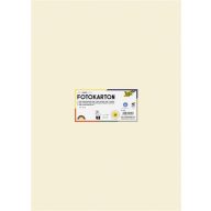   Dekorkarton, 2 oldalas, 50x70 cm, 300 g, 10 lap, FOLIA, bézs