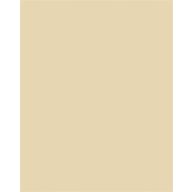 Dekorkarton, 2 oldalas, 50x70cm, 220 g, 10 lap, FOLIA, bézs