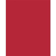   Dekorkarton, 2 oldalas, 50x70cm, 220 g, 10 lap, FOLIA, tűzpiros