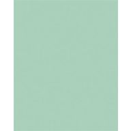 Dekorkarton, 2 oldalas, 50x70cm, 220 g, 10 lap, FOLIA, menta