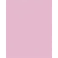   Dekorkarton, 2 oldalas, 50x70cm, 220 g, 10 lap, FOLIA, halvány rózsaszín