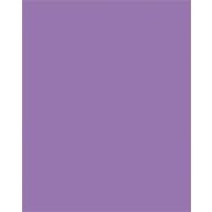   Dekorkarton, 2 oldalas, 50x70cm, 220 g, 10 lap, FOLIA, sötét orgonalila