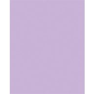   Dekorkarton, 2 oldalas, 50x70cm, 220 g, 10 lap, FOLIA, orgonalila