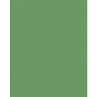   Dekorkarton, 2 oldalas, 50x70cm, 220 g, 10 lap, FOLIA, mohazöld