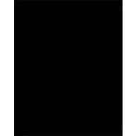   Dekorkarton, 2 oldalas, 50x70cm, 220 g, 10 lap, FOLIA, fekete