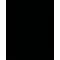 Dekorkarton, 2 oldalas, 50x70cm, 220 g, 10 lap, FOLIA, fekete