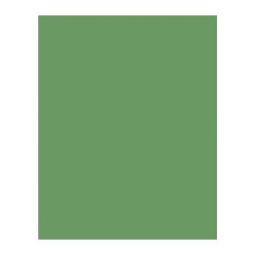 Dekorkarton, A4, 300 g, 50 lap, FOLIA, mohazöld