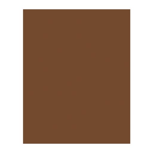 Dekorkarton, 2 oldalas, 50x70 cm, 300 g, 10 lap, FOLIA, csokoládébarna