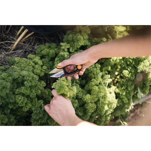 Fűszervágó olló, FISKARS "Solid™ SP220"