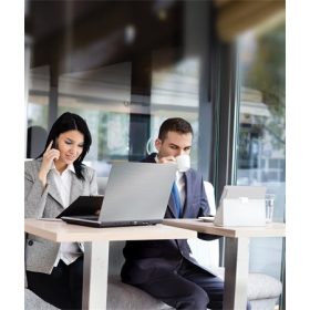   Monitorszűrő, betekintésvédelemmel, 476x268 mm, 21,5", 16:9 FELLOWES "PrivaScreen™", fekete