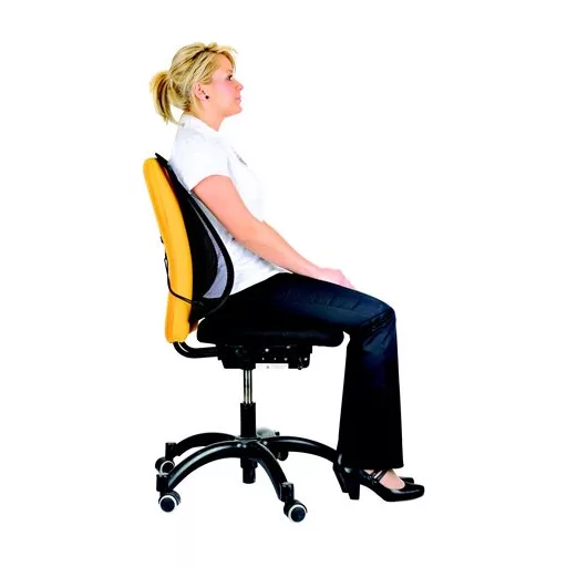Háttámasz, FELLOWES "Professional Series™ Mesh"