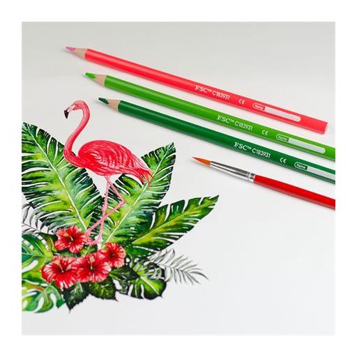 Akvarell ceruza készlet, hegyezővel, ecsettel, KORES, 12 különböző szín