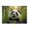 Irattartó tasak, A4 PP, patentos, 180 mikron, PANTA PLAST "Panda"