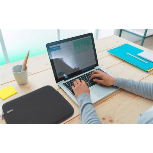 Notebook tok, 15,6", antibakteriális, RAPESCO, fekete