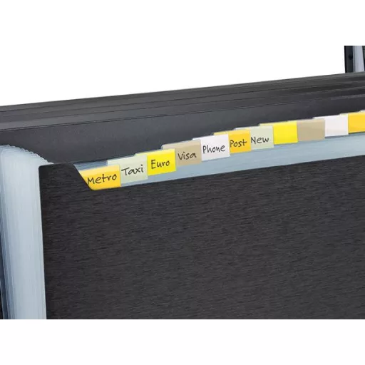 Harmonikamappa, A4, PP, 13 rekeszes, RAPESCO "Eco GRS Recycled", matt fekete