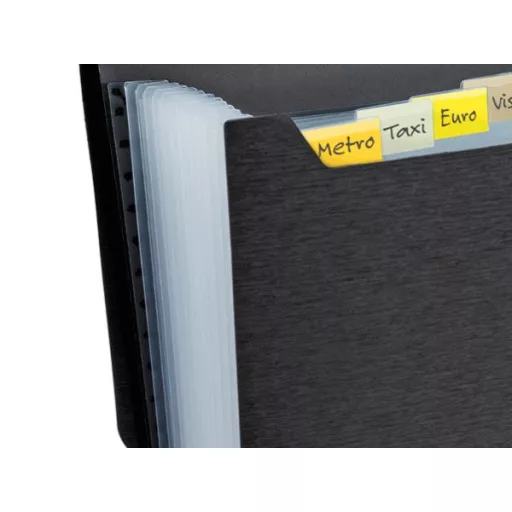 Harmonikamappa, A4, PP, 13 rekeszes, RAPESCO "Eco GRS Recycled", matt fekete