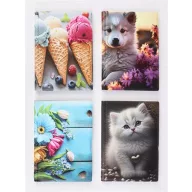   Igazolványtartó, álló, 10 betét lappal, mintás PVC, "Bővített személyi", lány